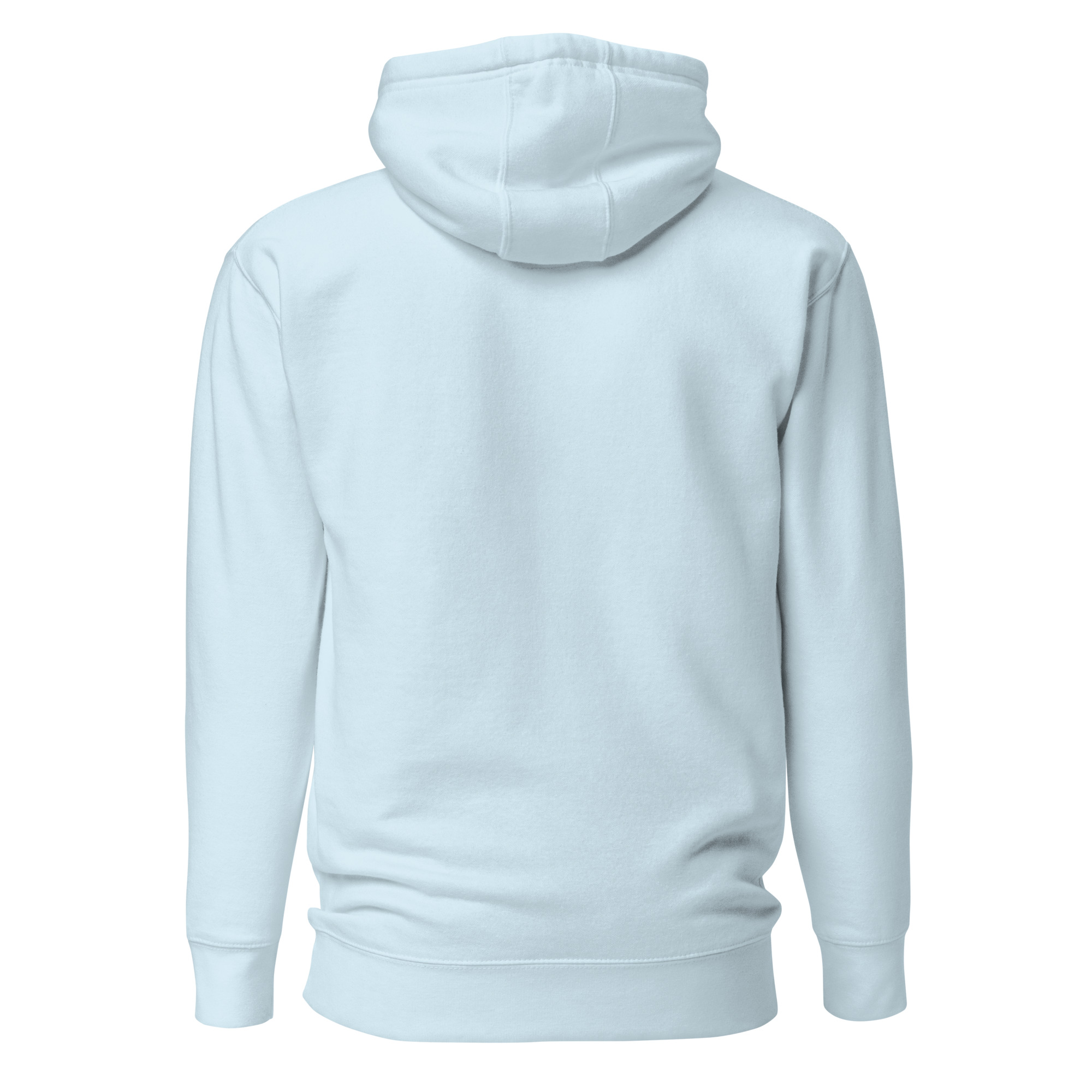 unisex-premium-hoodie-sky-blue-back-6634ece6ed02a.jpg